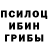 Галлюциногенные грибы Psilocybe ARAI Jakupova