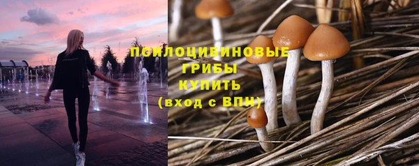 таблы Белокуриха