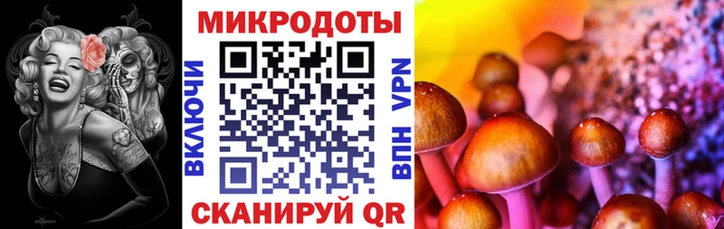 Галлюциногенные грибы Psilocybe  дарнет шоп  гидра зеркало  Чудово 
